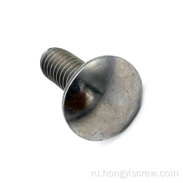 Круглая голова квадратная шея SS Carriage Bolt